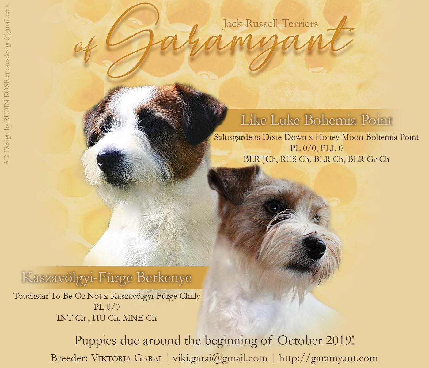 PuppiesForSale2019