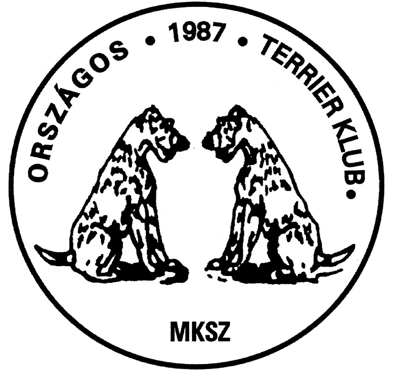 kezdologo4